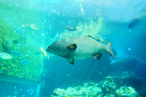 LRG_DSC06842