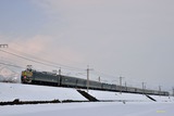 冬の中庄にて「トワ」