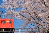桜と201系