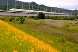 初夏の吉井川橋梁