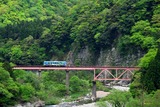 九頭竜川を渡るキハ120