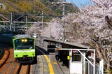 桜の河内堅上駅