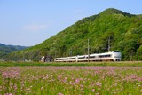 レンゲと289系
