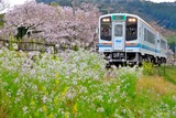 桜の尾奈駅