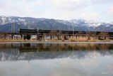 冬の貫川内湖と「トワ」