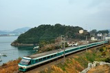 冷水港を行く381系