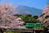 桜と113系