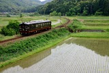 田園の中で「くろまつ」