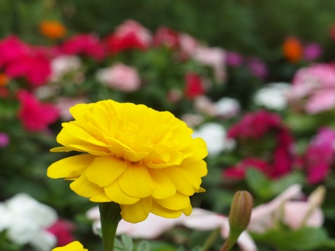 P90300670030
