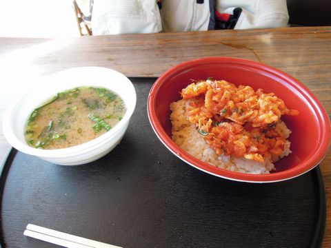 DSCN08280003