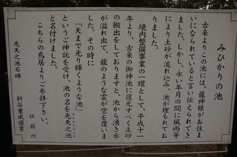 DSC030390018