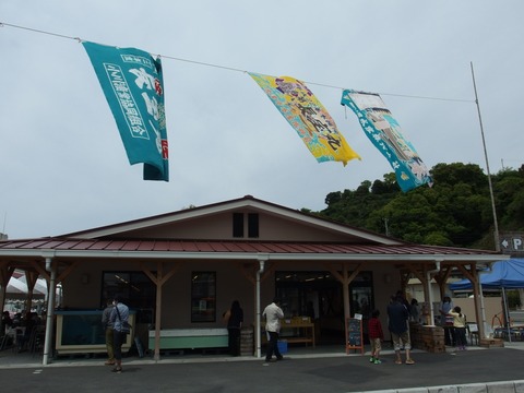 P50300470020