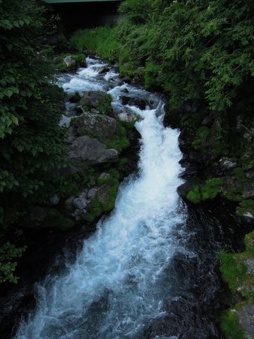 DSCN01970014