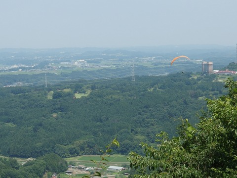 P70800920029