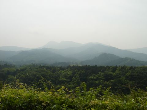 DSC095390009