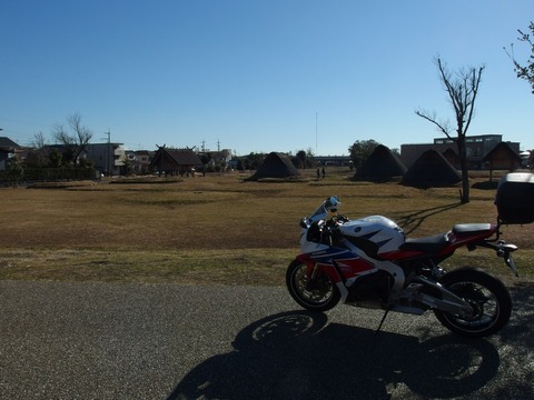 P11000010001