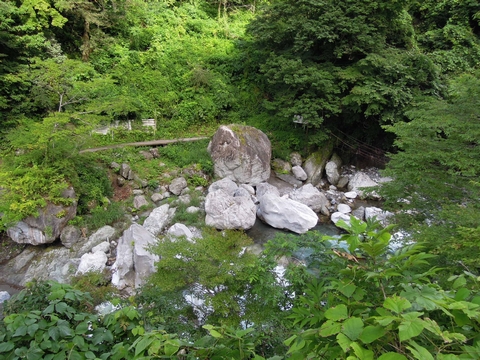 DSCN13250003