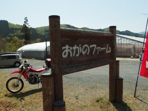 P43000210015
