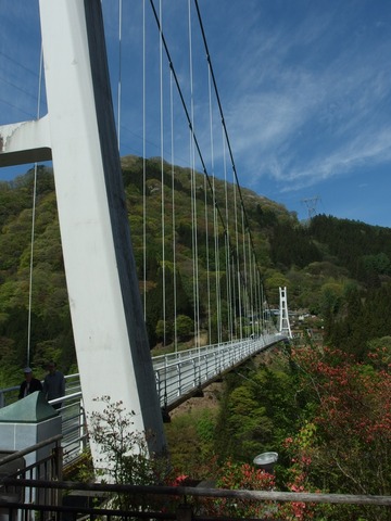 P50500310016