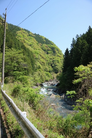 IMG_06960007