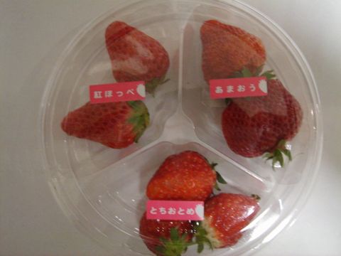 DSC030010001