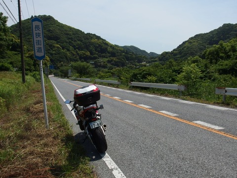 P61000870022