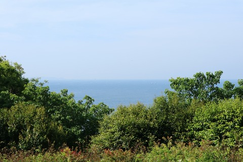 IMG_13710025