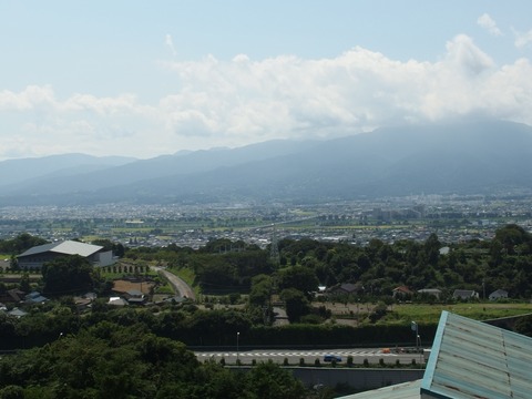 P91000030002
