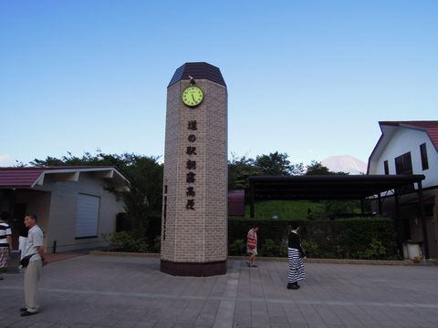 DSCN03120055