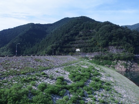 P80200050003