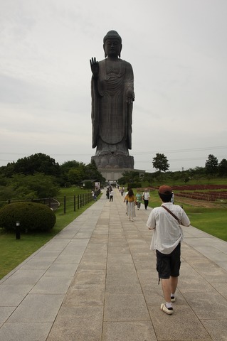 DSC035230046