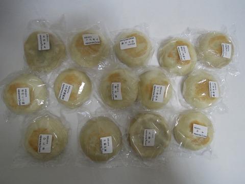 DSCN36980028