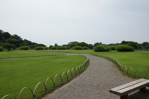 DSC034570019