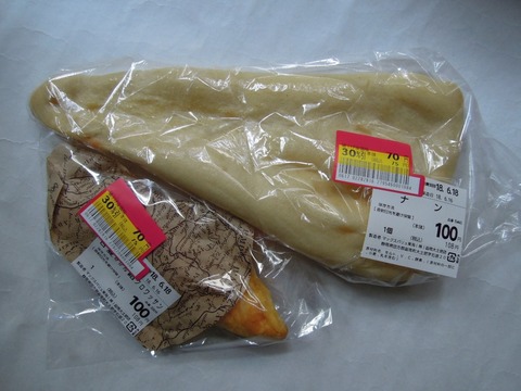 DSCN37100030