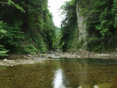 P61001250034