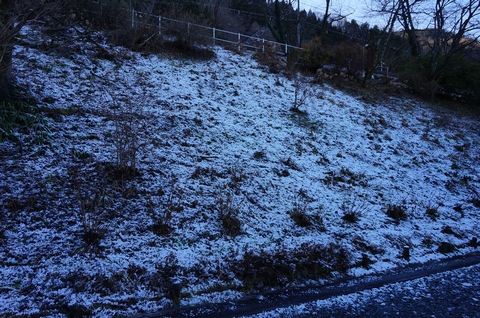 DSC013890004
