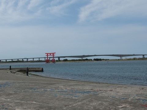 P60300100004