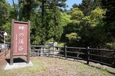 DSC017550003