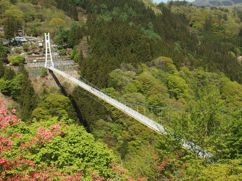 P50500390018