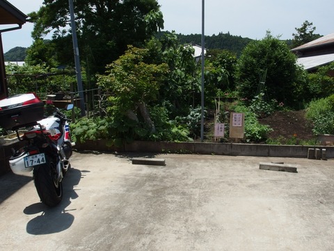 P61000920028