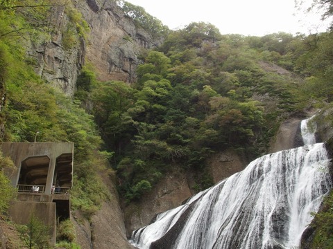 PA1000230001