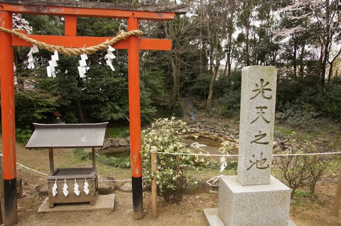 DSC030360016