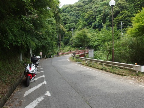 P61001050031
