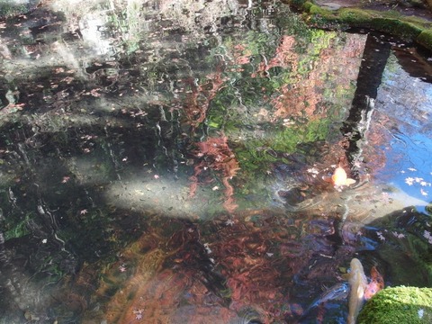 PC1700570018