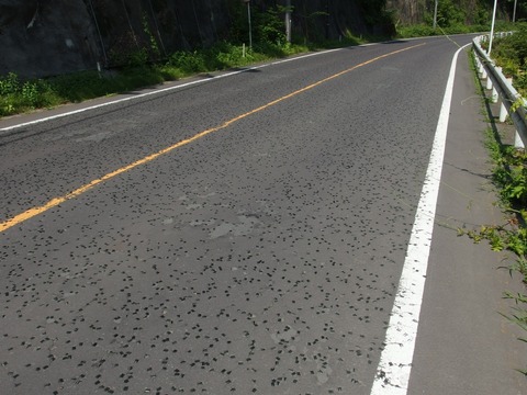 P70800100005