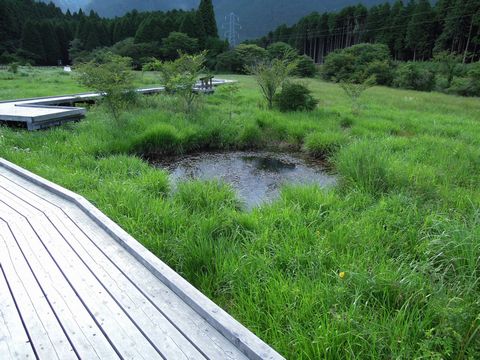 DSCN02780044