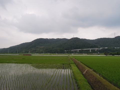 DSCN12980017