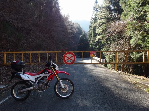 P10300290010