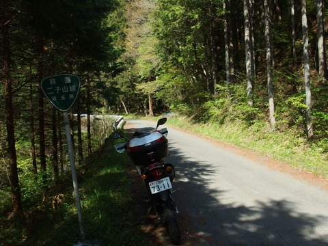 P43000060004