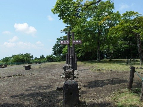 P70800210007